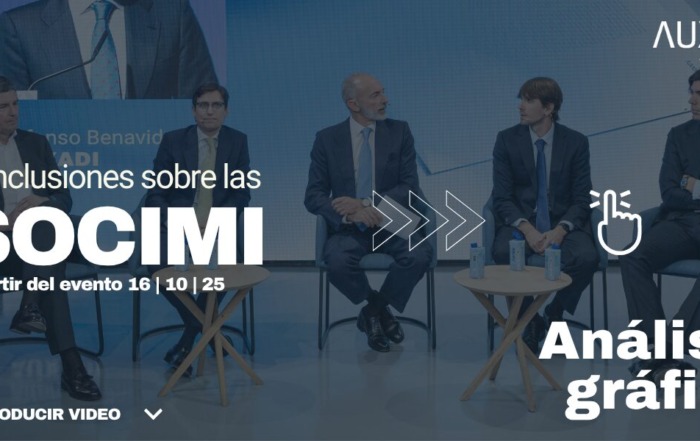 SOCIMI IA
